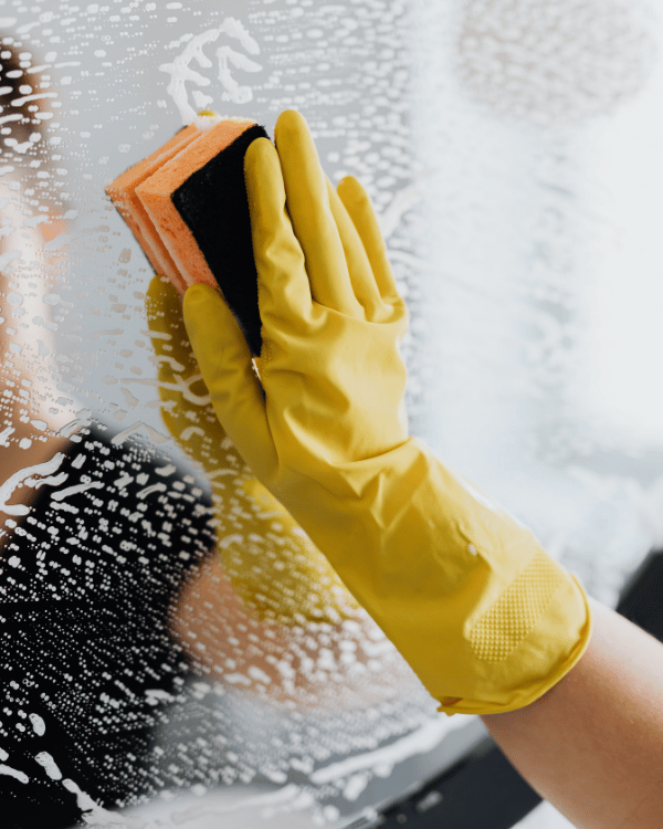 individual character photo (4)